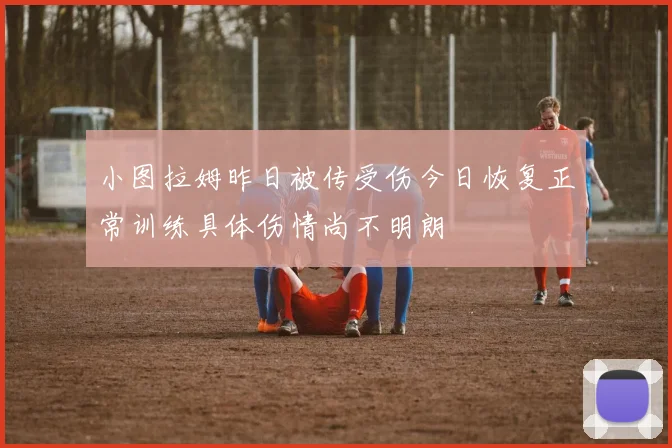 小图拉姆昨日被传受伤今日恢复正常训练具体伤情尚不明朗